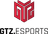 GTZ.Esports