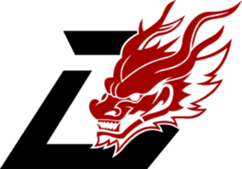 Dragon Esports